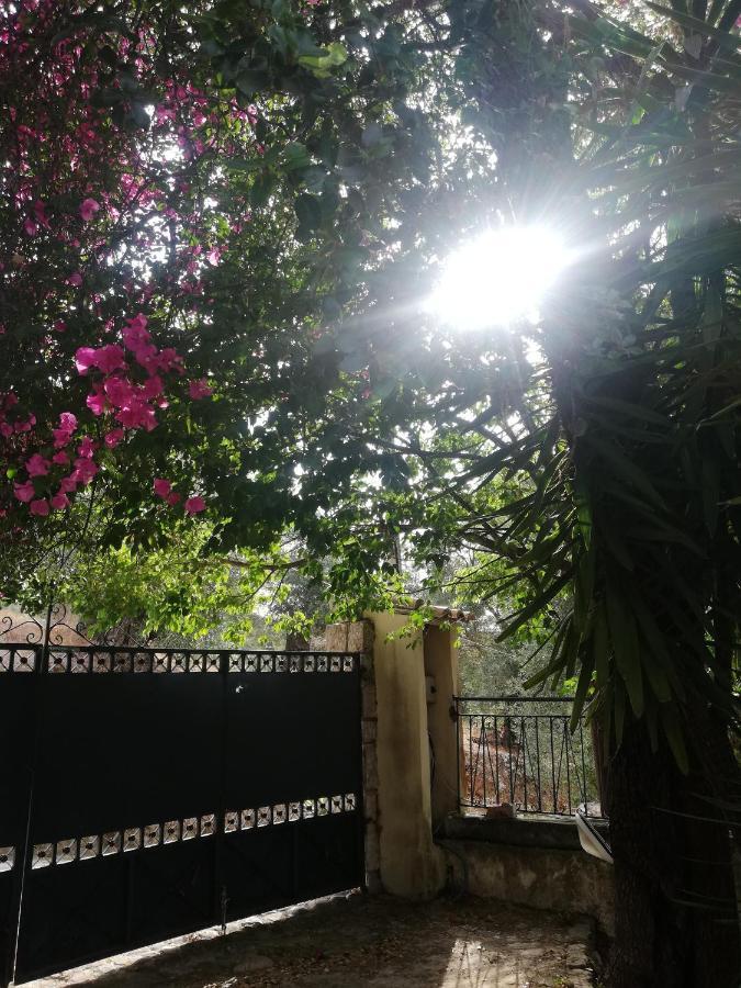 Olea Home Agia Pelagia Chlomou ภายนอก รูปภาพ