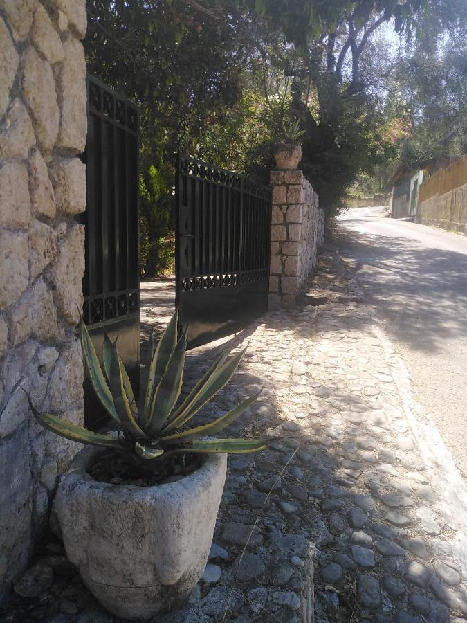 Olea Home Agia Pelagia Chlomou ภายนอก รูปภาพ