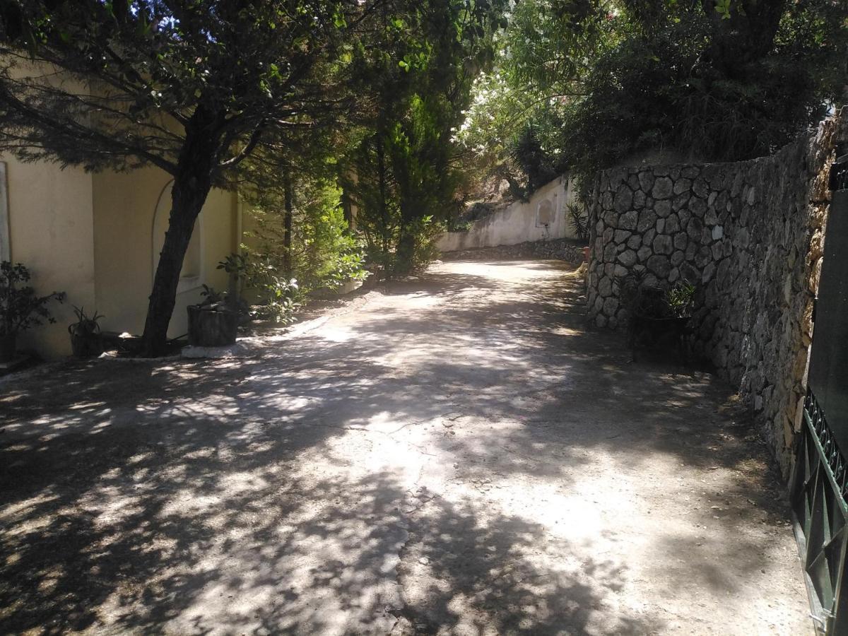Olea Home Agia Pelagia Chlomou ภายนอก รูปภาพ