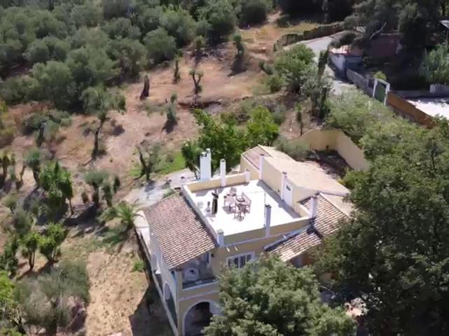 Olea Home Agia Pelagia Chlomou ภายนอก รูปภาพ